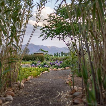 Galloway Guest House Robertson Bagian luar foto