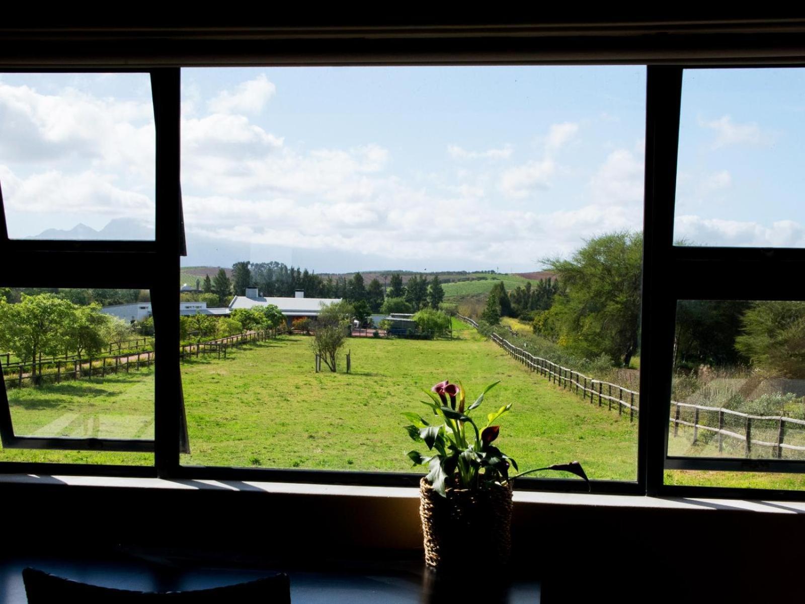 Galloway Guest House Robertson Ruang foto